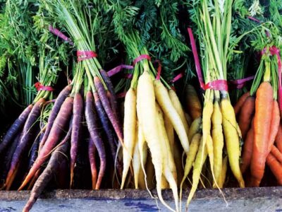 Growing Great Carrots Image